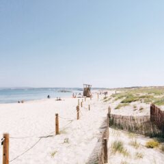 Alquilar un barco en Ibiza y ir hasta la playa de Illetes de las playas más bonitas del mundo