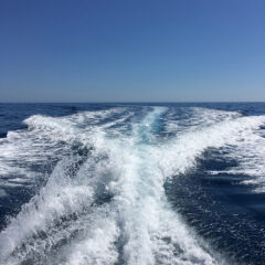 Alquilar un barco en Ibiza y relajarse viendo la estela del barco